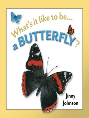 cover image of What's It Like to Be a Butterfly?